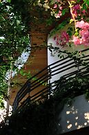 CityHouse - CityOasis