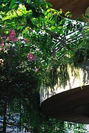 CityHouse - CityOasis