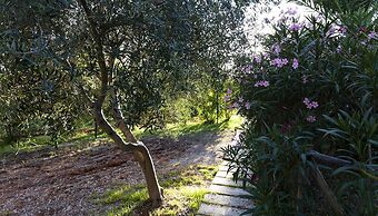 Villa Tiella e Casa Frisa - Shared Pool