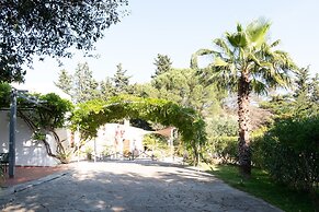 Villa Tiella e Casa Frisa - Shared Pool