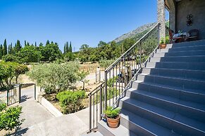 Apartment Laurel Leaf