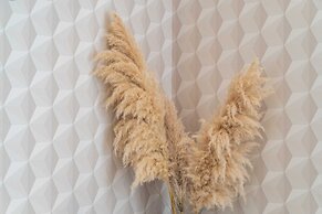 Apartments Villa Palma