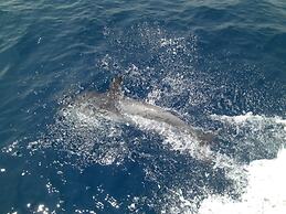 Sailing Yacht by Owner, Holidays to Greek Islands