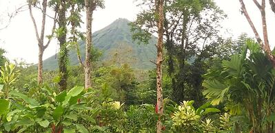 Tropical Suites & Villas