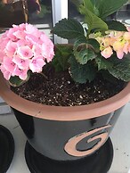 Veld View Bed & Breakfast