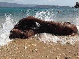 The Fisherman's Cottage