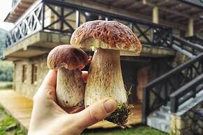 Beautiful Large Villa in Tylmanowa