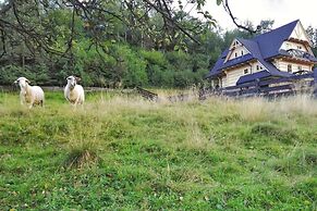 Beautiful Large Villa in Tylmanowa