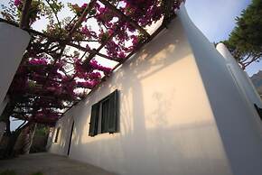 Ischia Charming Terrace Seaview Villa