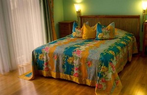 Hotel Henry