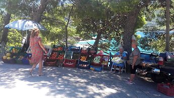 Charming Country Cottage by the sea one Minute