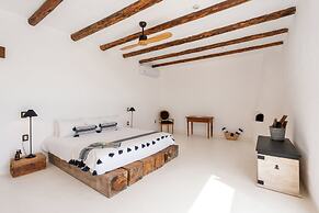 NEST Baja