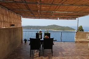 Apartment Amazing Summer