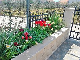 Apartments Sunny Side Orebić