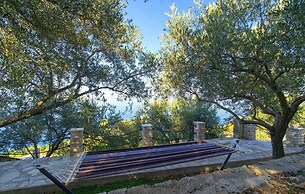 House Green Side Sunset