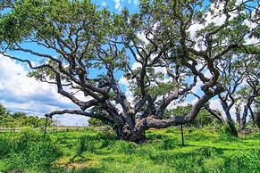 Mermaid's Landing 2 Bedroom Cottage by RedAwning