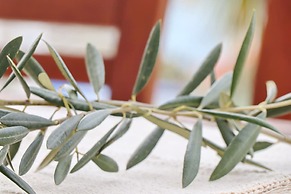 Holiday Home Rosemary