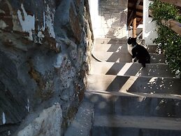 Petrino1880 Sea-vacation Apartment in Chalkidiki