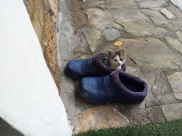 Petrino1880 Sea-vacation Apartment in Chalkidiki