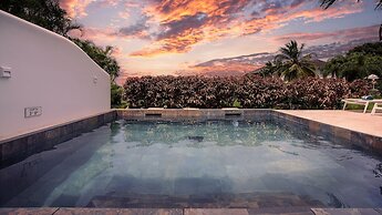 Sugar Hill - Frangipani by Blue Sky Luxury