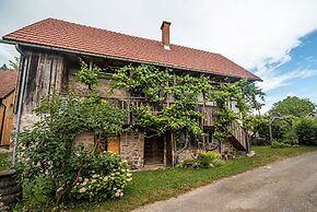 Vintage House Podliparska