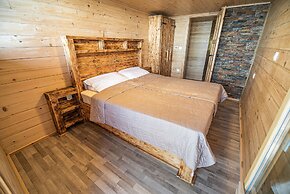 Apartments Zvoh, Krvavec, Ski-in, Ski-out