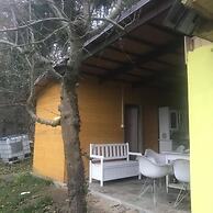 Sazava River Cottage With Boating Experience