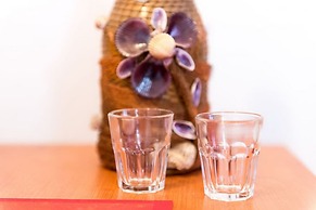 Apartments Ereš Žuronja