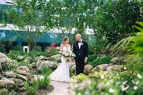 Walt Disney World Swan Reserve