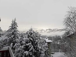 6guests-skiing-mountainviews-fireplace-freeparking
