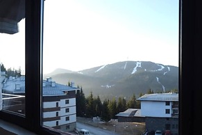 Stunning Mtn View 1-bed Ski Apt in Pamporovo