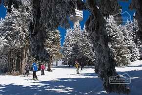 Mtn View Ski Apt - Sleeps4, Petok, 5 Min Ski Lift
