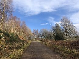 Clouded Yellow - Beautiful Modern Lodge, Kippford