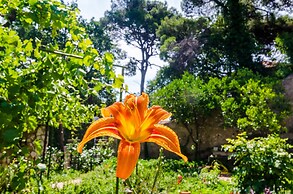 Apartments Eos & Vespera