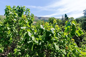 Apartments Eos & Vespera