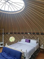 Looe Yurts