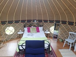 Looe Yurts