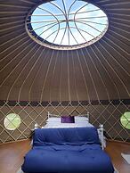 Looe Yurts