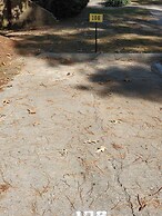 No Place Like Homeplace! II