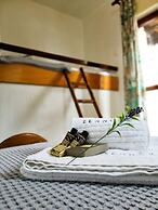 Zennova 22 Nikiti Sea Side House