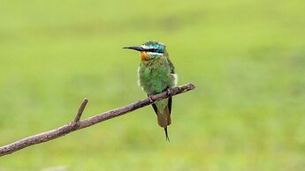 Brij Pola, Jawai - Luxury Jungle Camp with Private Pools