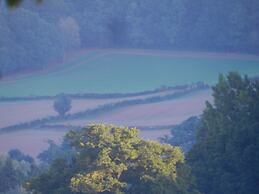 Cosy 5m Bell Tent Glamping in Rural Herefordshire