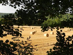 Cosy 5m Bell Tent Glamping in Rural Herefordshire