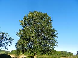 Cosy 5m Bell Tent Glamping in Rural Herefordshire