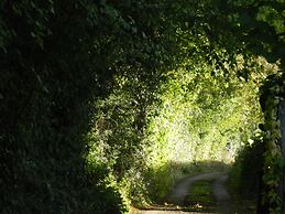 Cosy 5m Bell Tent Glamping in Rural Herefordshire