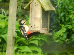 Cosy 5m Bell Tent Glamping in Rural Herefordshire