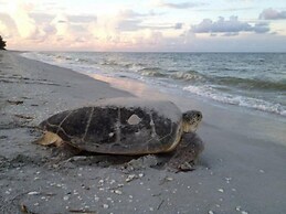 Sundial Beach Resort by Dream Vacation Rentals