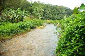 Room in Cabin - The Nest Bettathur, Coorg Ct 004