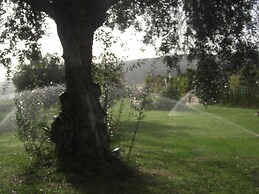 Villa Minerva With Views of the Serrania de Ronda