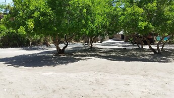 Room-mida Creek Eco Camp - Lodge